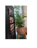 Acrylic Photo Magnets 2x3" (minimum order of 3 pcs)